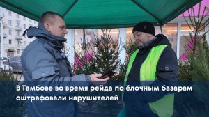 В Тамбове во время рейда по ёлочным базарам оштрафовали нарушителей