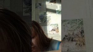 Распоковка румбокса.3 часть.