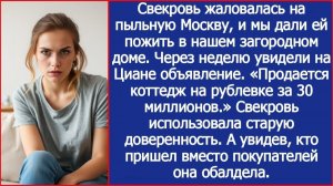 Свекровь хотела продать мой дом на циане "Продается коттедж на Рублевке, 20 кв.м., цена - 30 млн."