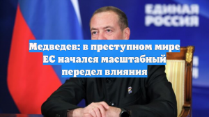 Медведев: в преступном мире ЕС начался масштабный передел влияния