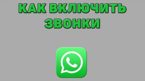 Как включить звонки в Ватсапе