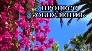 ЧТО БУДЕТ ПРОИСХОДИТЬ В БЛИЖАЙШИЕ ДНИ. ПРОЦЕСС «ОБНУЛЕНИЯ»