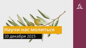20 декабря 2025. Научи нас молиться. Под сенью благодати.
