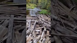 В гостях у друга ,сын Андрей .