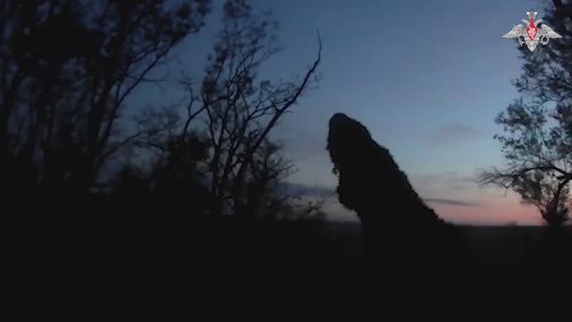 Уничтожение ПВД ВСУ в Гуляй-поле