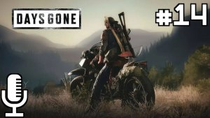 Days Gone▶Прохождение 14