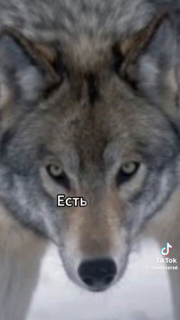 брат, запомни😉 смотреть онлайн