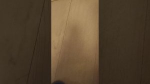 Обзор мой новогодний пиротехники на новый год 2026 .