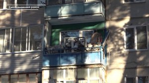 В ЕМЕЛЬЯНОВО ЖЕНЩИНА УСТРОИЛА АНТИСАНИТАРИЮ ДЛЯ ВСЕГО ДОМА