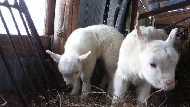 1000099519.mp4 смотреть онлайн