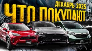 Успели до утильсбора: обзор стоянки, новые цены и что ждёт авторынок 😱  | Sferacar стоянка