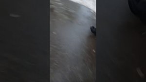 а баба а боба