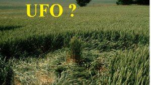 Первые круги на полях. 10