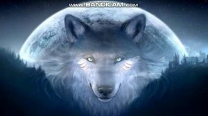 Вальхалла. О суровой Волкщьей долюшке