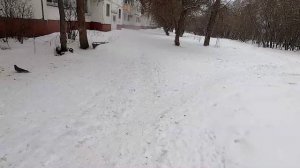 О странном медицинском случае