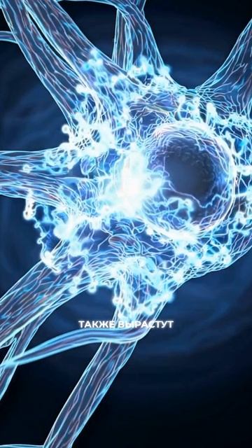 Что нас ждет в 2026 году смотреть онлайн