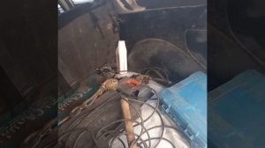 ЛЕС🎄🎄🎄ДАЧА...