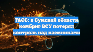 ТАСС: в Сумской области комбриг ВСУ потерял контроль над наемниками