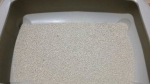 Как убрать запах кошачьей мочи в квартире