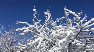 ❄️ ЗИМНЯЯ ФАНТАЗИЯ ❄️ ИНСТРУМЕНТАЛ от АННЫ МУСИЕНКО! Часть IX. 👉 Ссылка на канал Анны - под видео.