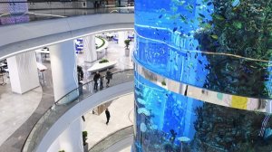 Около 600 человек эвакуировали из ТЦ «Океания» в Москве из-за пожара в ресторане