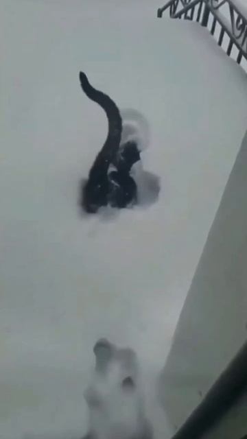 Не больно-то и хотелось ❄️