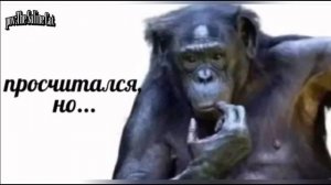 правда ведь?