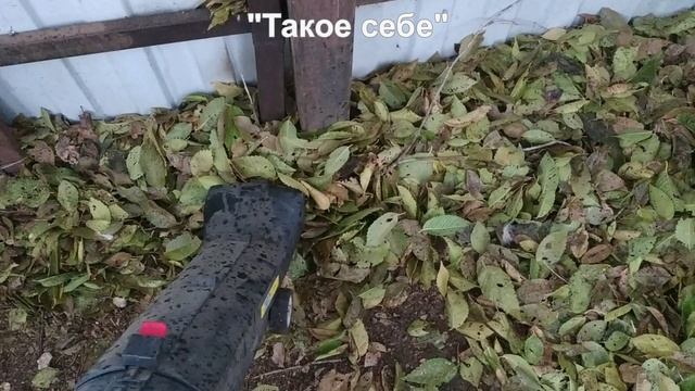 Воздуходувка ЗУБР ЗПСЭ-3000. Электрический садовый пылесос. Метод работы смотреть онлайн