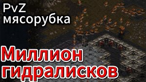 Протосс-легенда SnOw против самого быстрого и вездесущего зерга effOrt - Старкрафт Брудвар