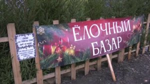 В Воронеже начали свою работу ёлочные базары