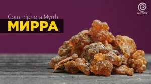 Что такое Мирра?