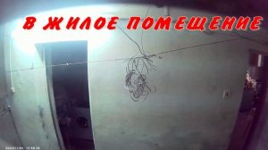 СВЕТА НА РАБОТУ