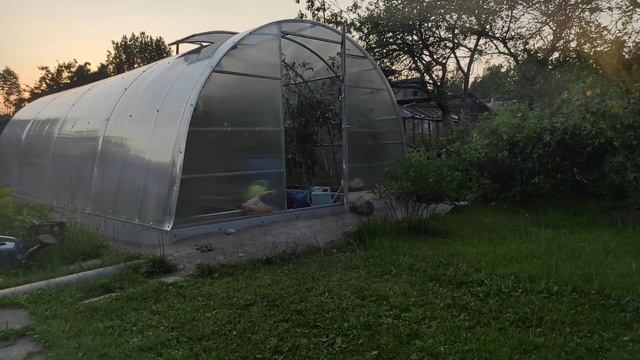 38-ДАЧА.. Украшаем соседский сарай(10.07-11.07.21) смотреть онлайн