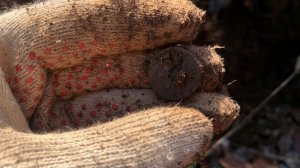 КРЫМСКИЙ ЛЕС ПО ВОЙНЕ ОКОПНАЯ РУКАБЛУДИЯ КОП 2025