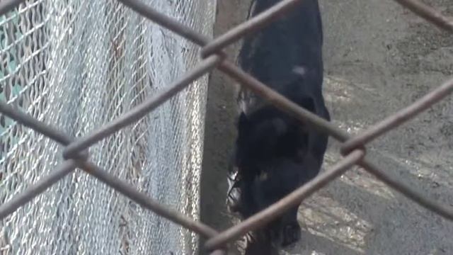 SAFARI PARK HARBIN part 17