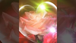 Я тебя люблю