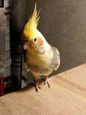 Идеи для роликов которые я собираюсь делать