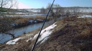 Мелкая река щуками полна