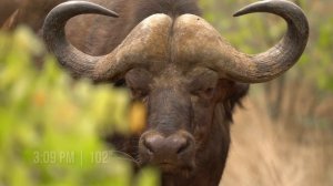 Голые и напуганные: Апокалипсис 1 сезон 5 серия (реалити-шоу, 2025)