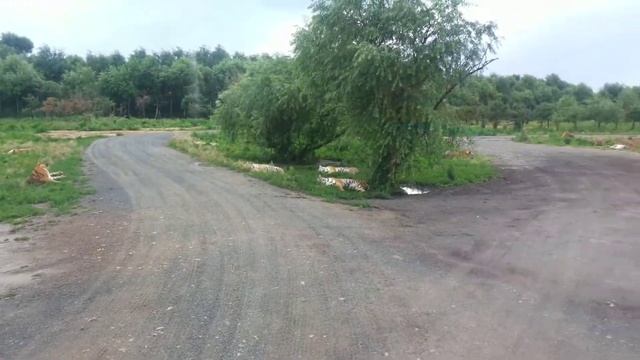 SAFARI PARK HARBIN part 2