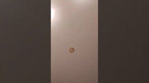 видео где мы смотрим зомбируса и говарю всем хороших выходных.