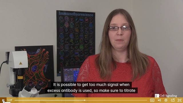 Troubleshooting Immunofluorescence Excess Bright Signal