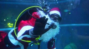 Пятница News, 2025 сезон, 233 выпуск