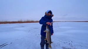 Сынок поймал своего трофея. Рыбалка в Казахстане.