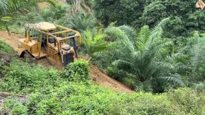 Строительство, расчистка, горная дорога, обзор