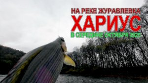 Рыбалка на реке Журавлёвка (Ното) Приморского края в середине октябрь 2025 года