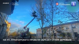 На ул. Луначарского провели обрезку сухих деревьев