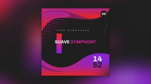 Igor Pumphonia - Suave Symphony — премьера сингла 26.01.2026 (Nu Disco / Disco)