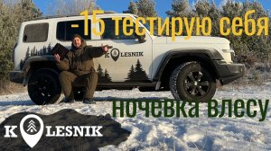 Ночевка в лесу в -15, тест повербанка Wattico и себя