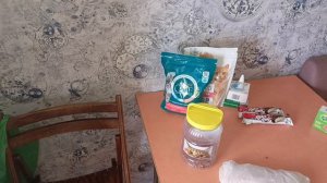 Котам корм купила / Заболевгая на связи